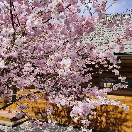 Wooden House Gabra Podnart