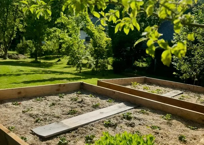 Domek alpejski Wooden House Gabra